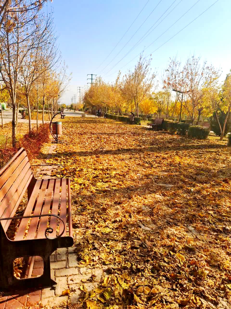 اجرای «راه پاییزی» در بوستان امام رضا(ع) پردیس